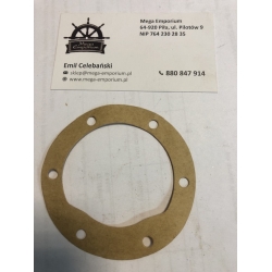 PUMP GASKET — 593114 CEF